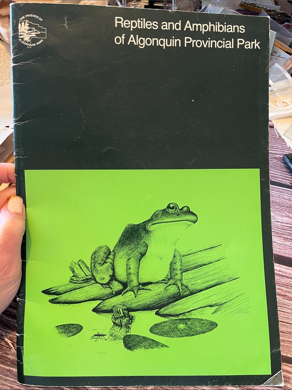 Reptiles and Amphibians of Algonquin Provincial Park 1986